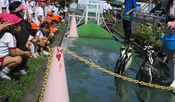 IMG_7337.JPG