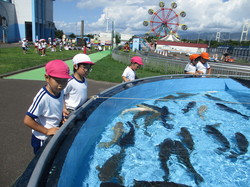 IMG_7907.JPG