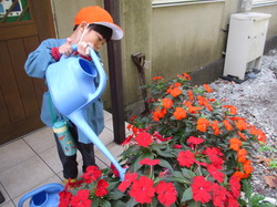 IMG_0542.JPGのサムネール画像