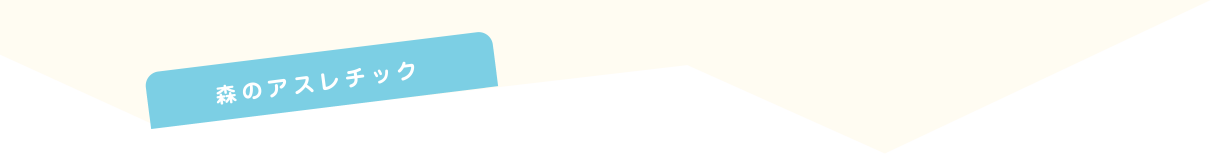 森のアスレチック